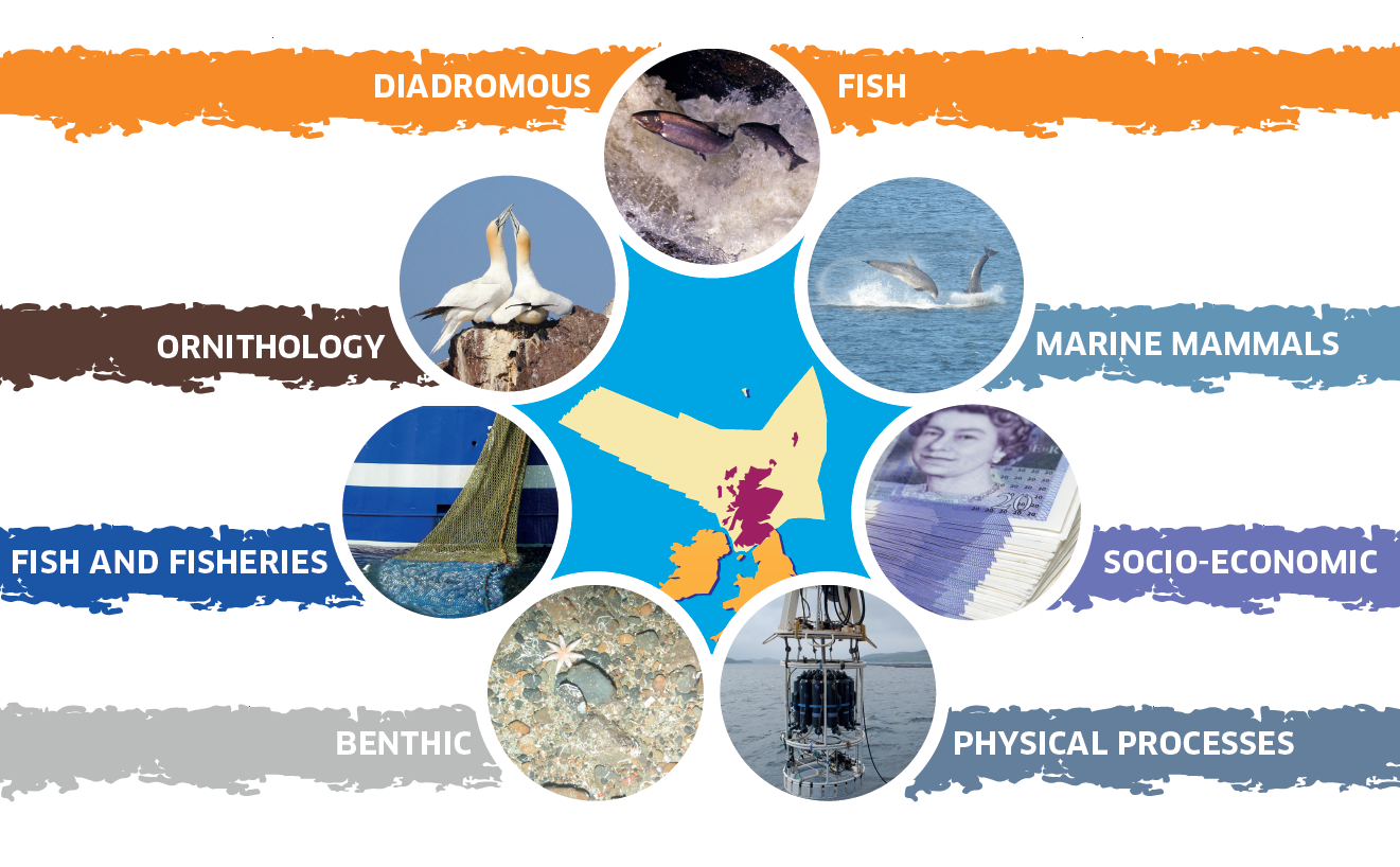 Marine Scotland Scotland is Now